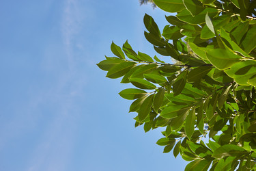 Similar image 21184275