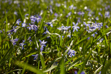 Similar image 21185131