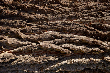 Similar image 21185133