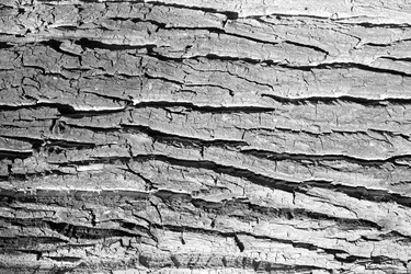 Similar image 21185135