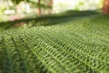 Similar image 21185137