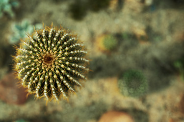 Similar image 21185139