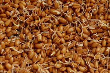 Similar image 21185141