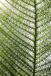 Similar image 21185143