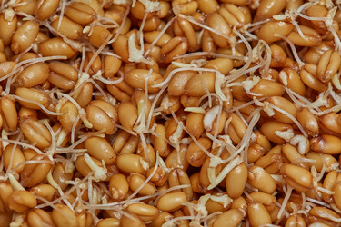 Similar image 21185145