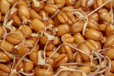 Similar image 21185147