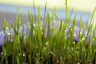 Similar image 21185149