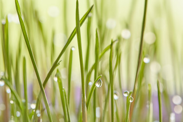 Similar image 21185172