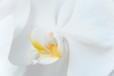 Similar image 21185176