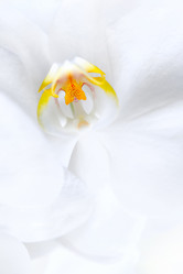 Similar image 21185178