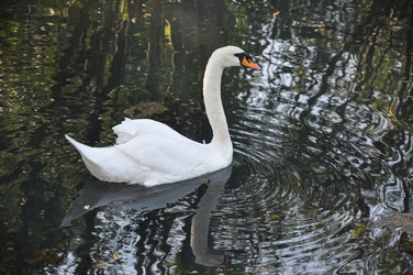 Similar image 21170583