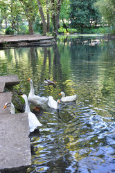 Similar image 21170587