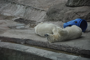 Similar image 21170591