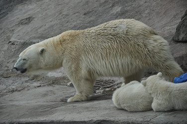 Similar image 21170592