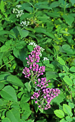 Similar image 21167187