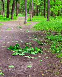 Similar image 21167188