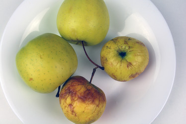 Similar image 21168803