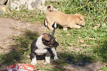 Similar image 21157604