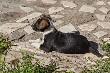 Similar image 21157605