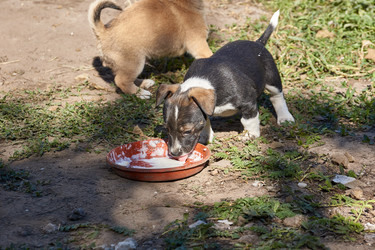 Similar image 21157606