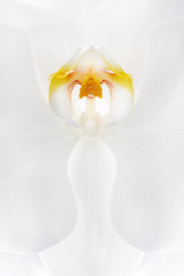 Similar image 21187797