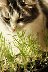 Similar image 21187803