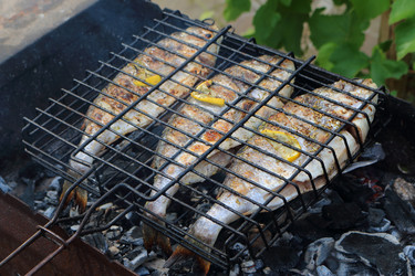 Similar image 21156998