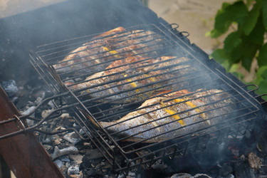 Similar image 21156999