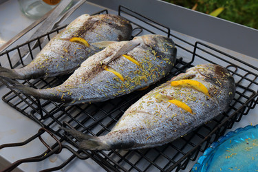 Similar image 21157006