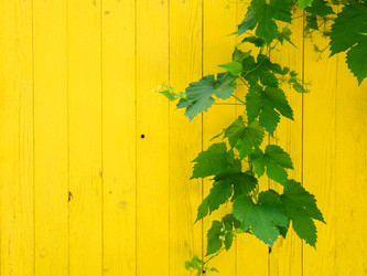 Similar image 21172339