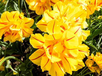 Similar image 21172342