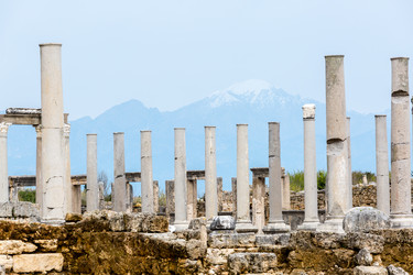 Similar image 21172346