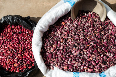 Similar image 21172350