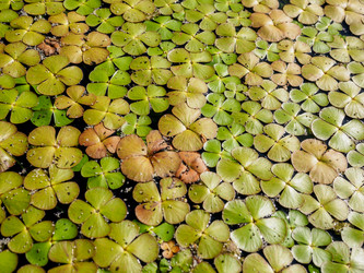 Similar image 21172360