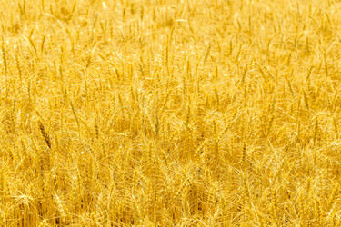 Similar image 21172361