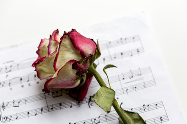 Similar image 21172362