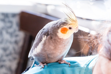 Similar image 21172368