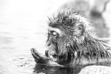 Similar image 21172374