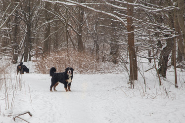 Similar image 21187760