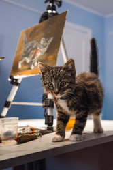 Similar image 21157617