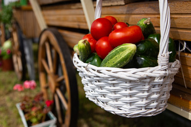 Similar image 21157623