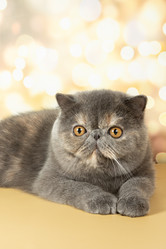 Similar image 21168403