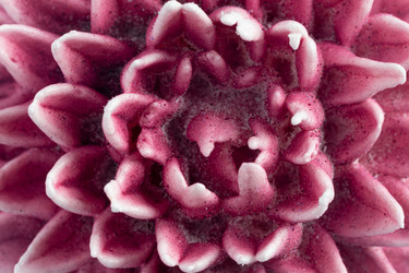 Similar image 21168416