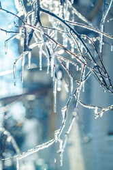 Similar image 21197146