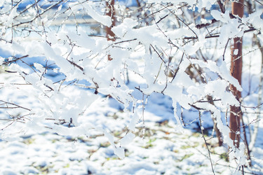 Similar image 21197149