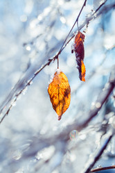 Similar image 21197150