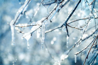 Similar image 21197151