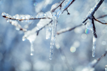 Similar image 21197152