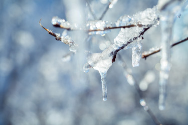 Similar image 21197153