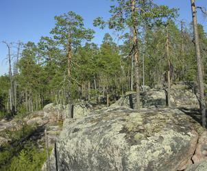 Similar image 21167384